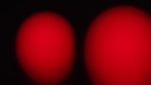 Onlylove-001 - 检查内裤20秒Check the underwear.
