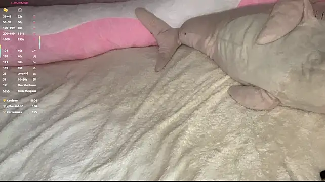 Aera_elese - mashing boobs 🤗
