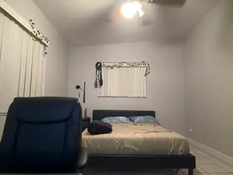 Gator_Zoe - 5 minute blowjob