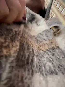 MeekyRich
