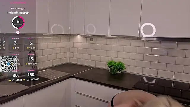 LavondaMcgreevy - Hot doggy on countertop