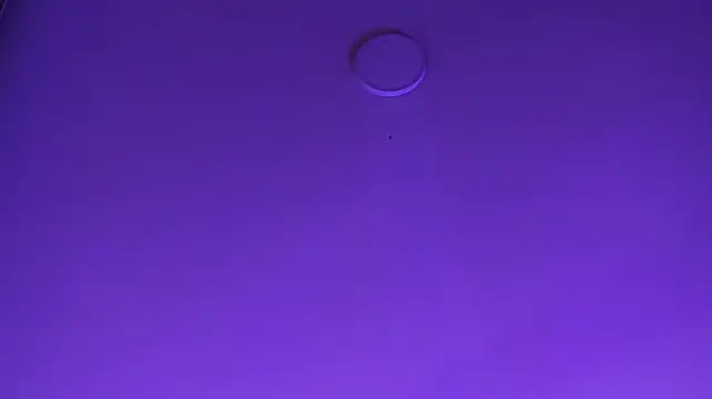 Shanezka - finger in my ass