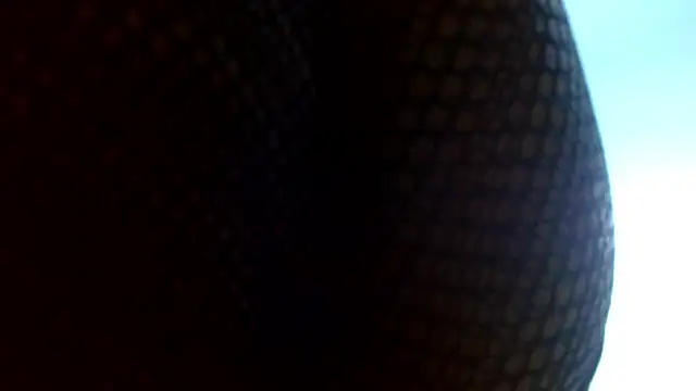 Hoot_emily - ANAL PLUG