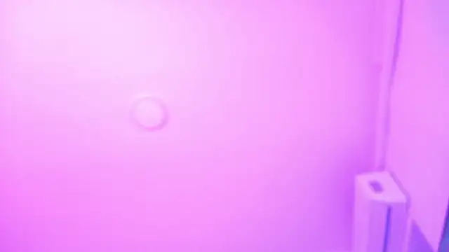 LexaDominant__ - twerking