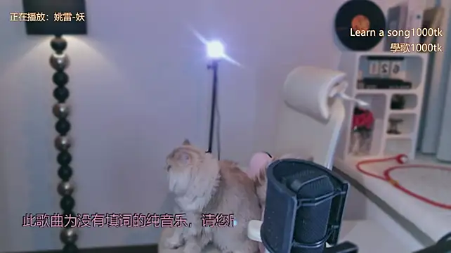 babykitty-'s Live XXX Chat