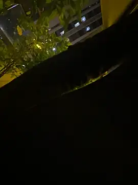 Littleqiu - 学校图书馆，学姐为咯赚学费，出卖身体,达到目标现场全裸喷