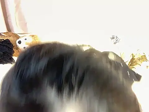 Saki_Miyazawa - さきのエッチメーター♡メーター上がると感度もUPするかも…///♡