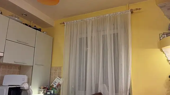 ElidedPremise - lush inside my sweet pussy