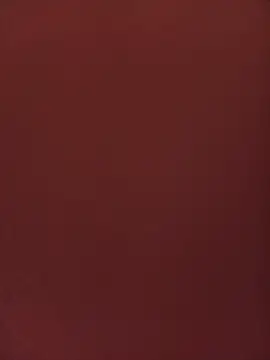 sofiaASS69