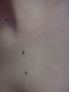 Natalia-acosta - FUCK MY PUSSY UNDERTABLE + FLASH TITS💦