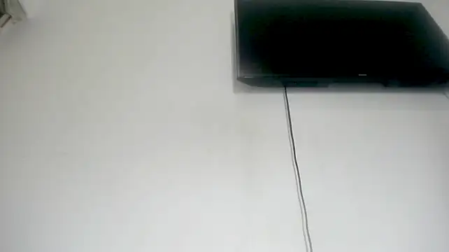 Fox_Loves
