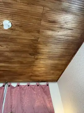 Barbie_gv - Control lush x 5 min and spank ass
