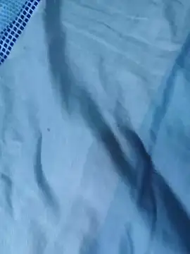 FansBRISA