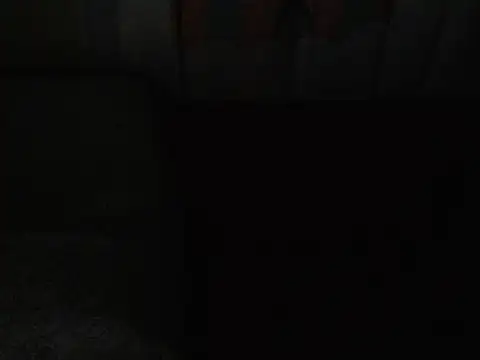 Zeina_gen - anal