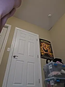 AmethystFoxx