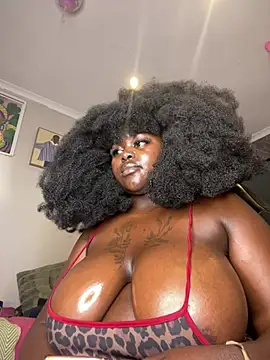 Honeycoco0211 - Half a MILLION