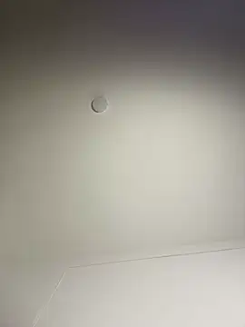 Alysson_As