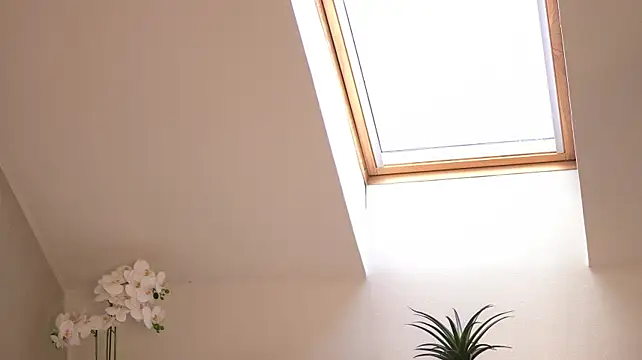 CassieMiles - 🍆 sloppy blowjob 🍆