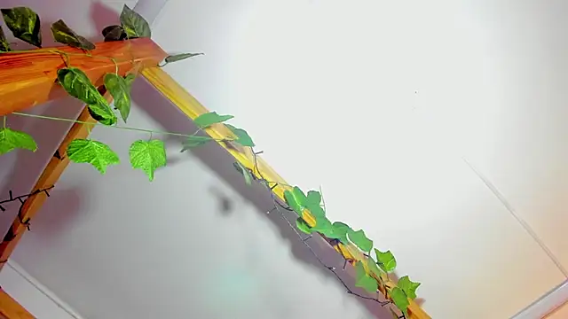 Lussyevans24 - shower play with dildos 💕