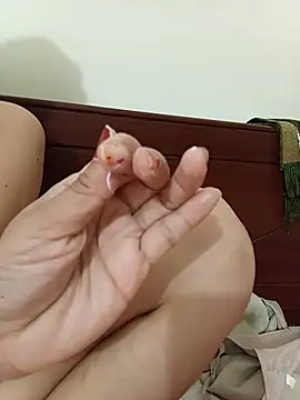 Arisha12
