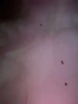 Natalia-acosta - 😈PANTY OFF+ FINGER IN MY WET PUSSY 😈