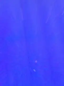 Sexy_Lolii - 600