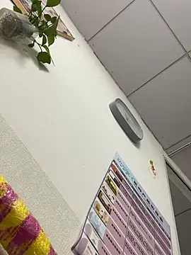 Milkwine - 🌹周四的美好，如期而至🌹