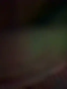 Isabella_horney_