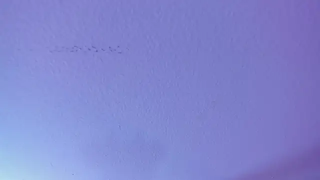 MiaCollinsz - 🔥fuck pussy+fuck anal🔥