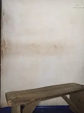 Christmaco