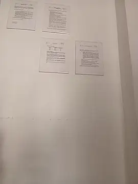 Natasha_miilf_ - Ass flash