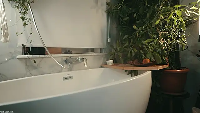 HeyBananas
