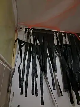 Lonely_shewolf - 🍀Let me decorate my room