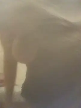 Chirihanbibi - سناب👩‍❤️‍👨