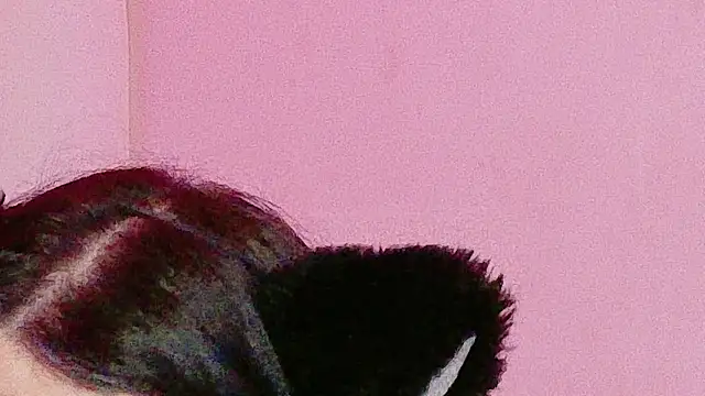 Sachi_Meow - SPANK ASS X 5