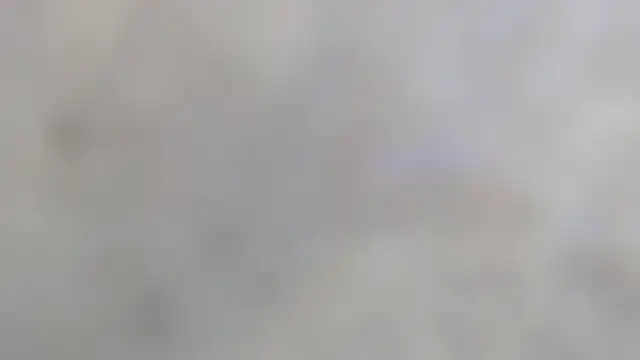 Nina_and_coby_ - hard dog, hot sex 😈🥵🍑