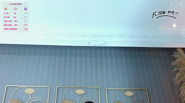 Issys_lam - plug anal