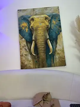 Karim_Nabil - show pussy