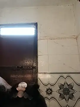 Pariraja_cute