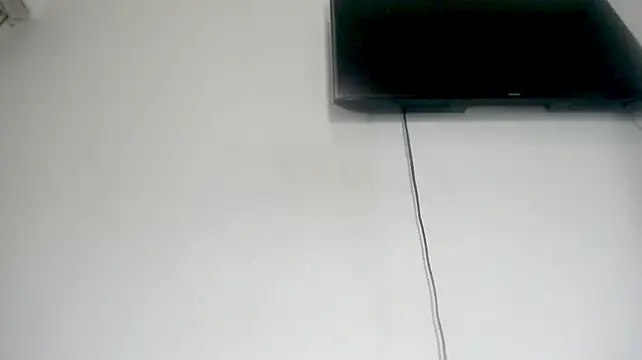 Fox_Loves