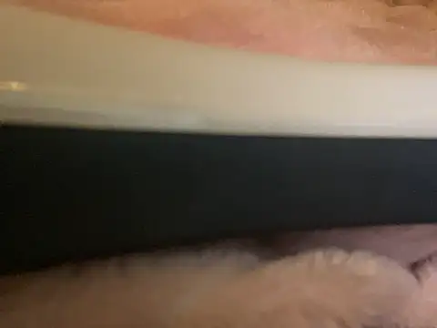 PrincessRayari - Pound My Oily Ass HARD💦🫶🏾🎀32Tk show