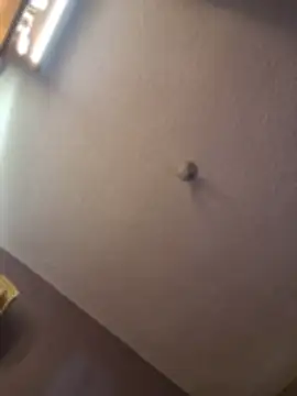 Tokyo_petit - FLASH TITS