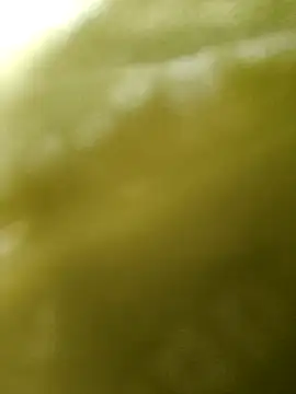 Rukminijaanu89 - Full nude