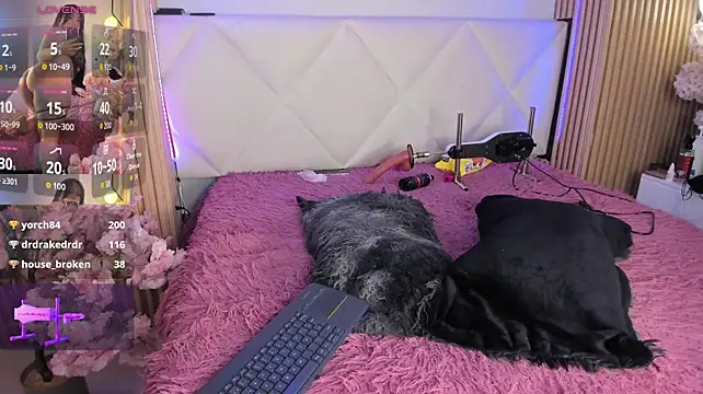 Veronica_hill_ - Anal Plug New x control lush 2mn