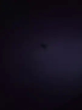 Tokyo_petit - FLASH ASS