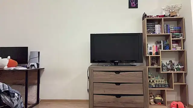 PaintedDisplay