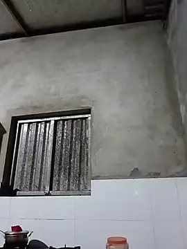 Toyo_668
