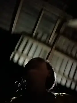 Toyo_668
