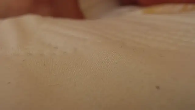 Cloehonney - squirt jeans