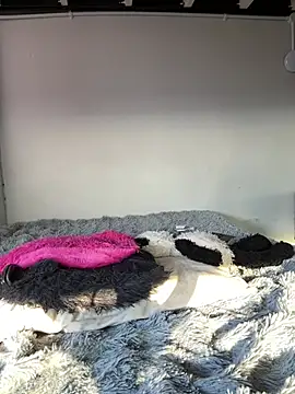 Cataleyasweetbooty - Make me cum daddy …